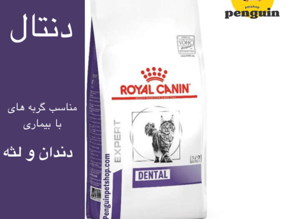 غذای خشک گربه رویال کنین Dental وزن 1.5 کیلوگرم