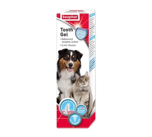 Tooth Gel