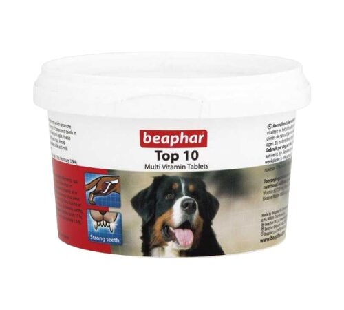 Top 10