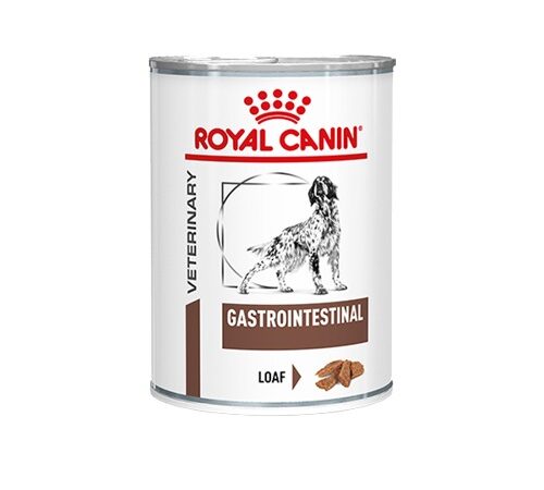 Gastrointestinal
