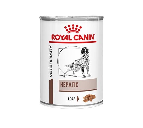 Hepatic