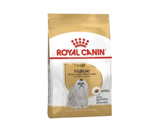 Maltese
