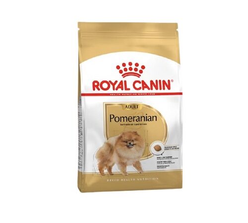 Pomeranian