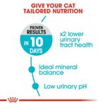 Urinary Care