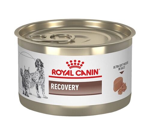 Recovery