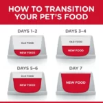 Hill's Science Plan Adult 1-6 Cat Food