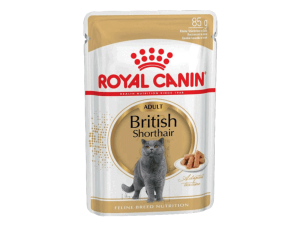 Royal Canin British Shorthair