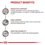 Royal Canin Gastrointestinal