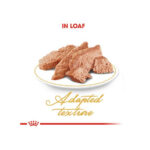 Royal Canin Persian Adult