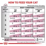 Royal Canin Renal Fish