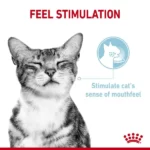 Royal Canin Sensory Feel