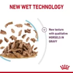 Royal Canin Sensory Feel