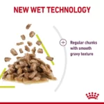 Royal Canin Sensory Smell