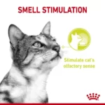 Royal Canin Sensory Smell