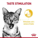 Sensory Taste