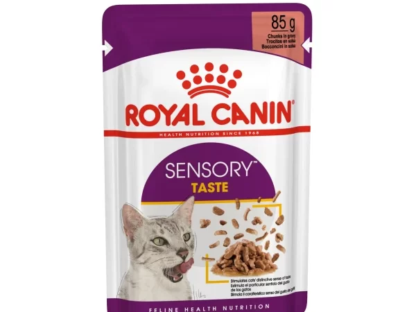 Sensory Taste