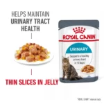 Royal Canin Urinary Care