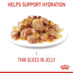 Royal Canin Urinary Care