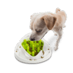 AFP Interactive Dog Food Maze