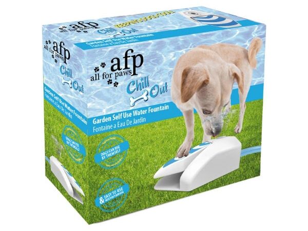 AFP Step & Spray Water Fountain