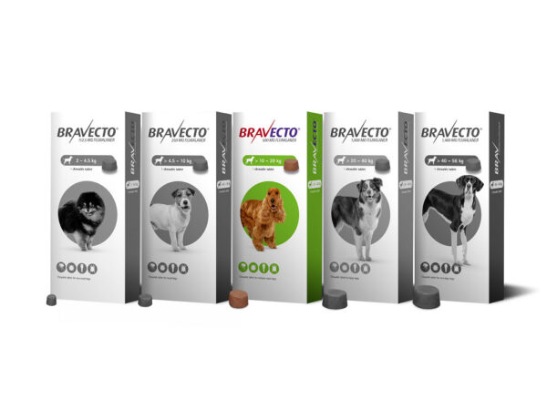 Bravecto Flea and Tick Chew for Dogs weighting 10-20kg