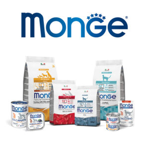 مونژه (Monge)