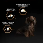 ProPlan Small and Mini Adult Everyday Nutrition with Chicken