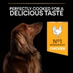 ProPlan Small and Mini Adult Everyday Nutrition with Chicken