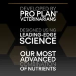 ProPlan Small and Mini Adult Everyday Nutrition with Chicken
