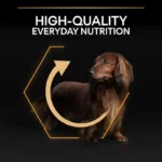ProPlan Small and Mini Adult Everyday Nutrition with Chicken