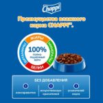 Chappi Pouch Beef in Gravy