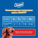 Chappi Pouch Beef in Gravy