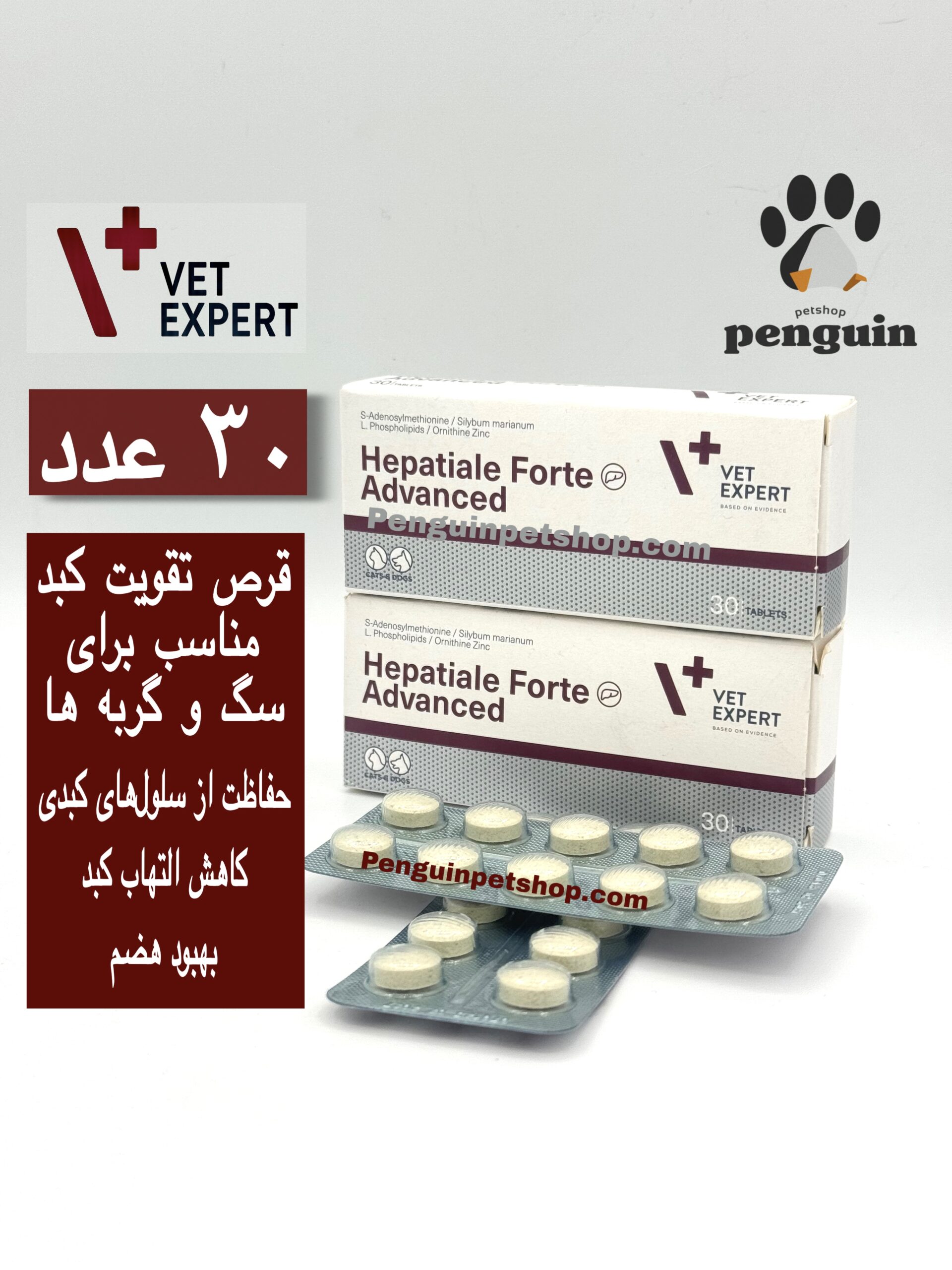 قرص هپاتیال فورته وت اکسپرت Hepatiale Forte Advanced بسته 30 عددی