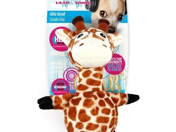 AFP GHz Giraffe