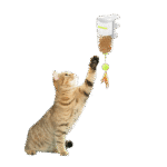 AFP Interactives Treat Dispenser