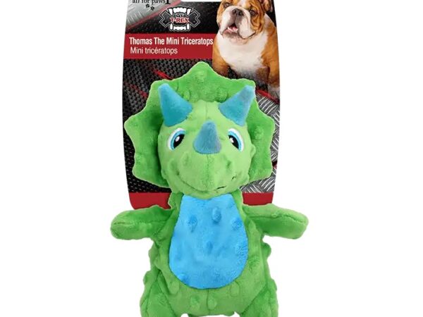 AFP Thomas The Mini Triceratops