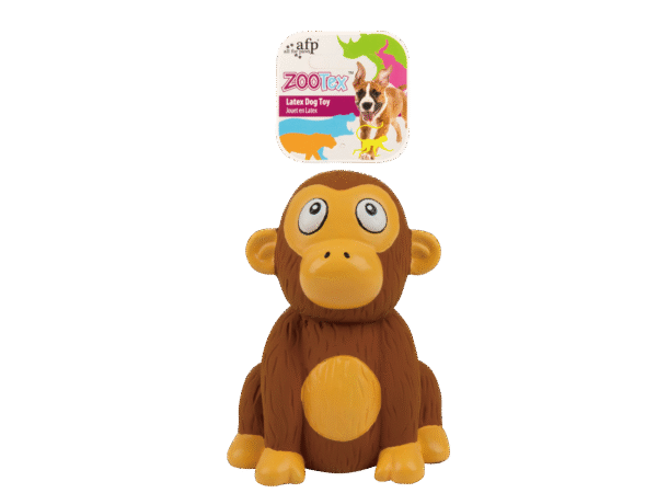 AFP Zootex Chistopher Chimp