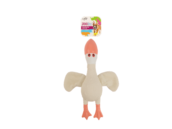 Wings Seagull Duck