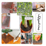 Juanit Spike Mat
