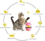 Lucky Kitty Spinning Food Dispenser Ball