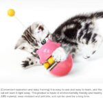 Lucky Kitty Spinning Food Dispenser Ball