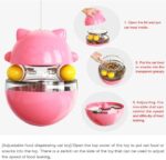 Lucky Kitty Spinning Food Dispenser Ball