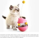 Lucky Kitty Spinning Food Dispenser Ball