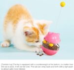 Lucky Kitty Spinning Food Dispenser Ball