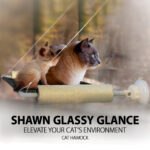 SHAWN Glassy Glance Cat Hammock