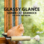 SHAWN Glassy Glance Cat Hammock
