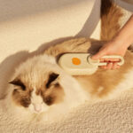 SHAWN MiST THERAPY MASSAGER
