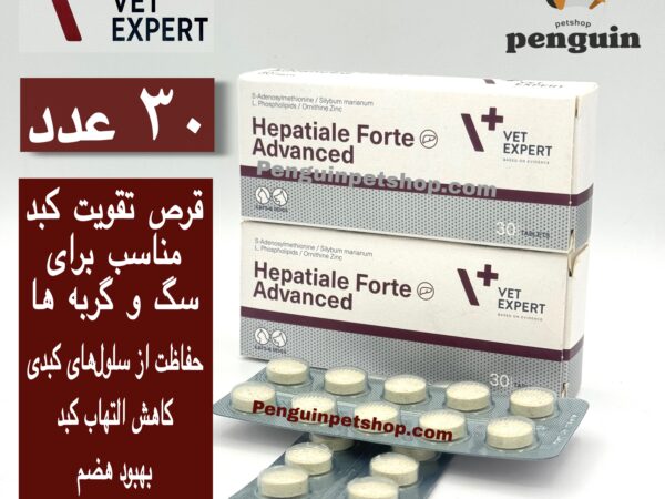 قرص هپاتیال فورته وت اکسپرت Hepatiale Forte Advanced بسته 30 عددی