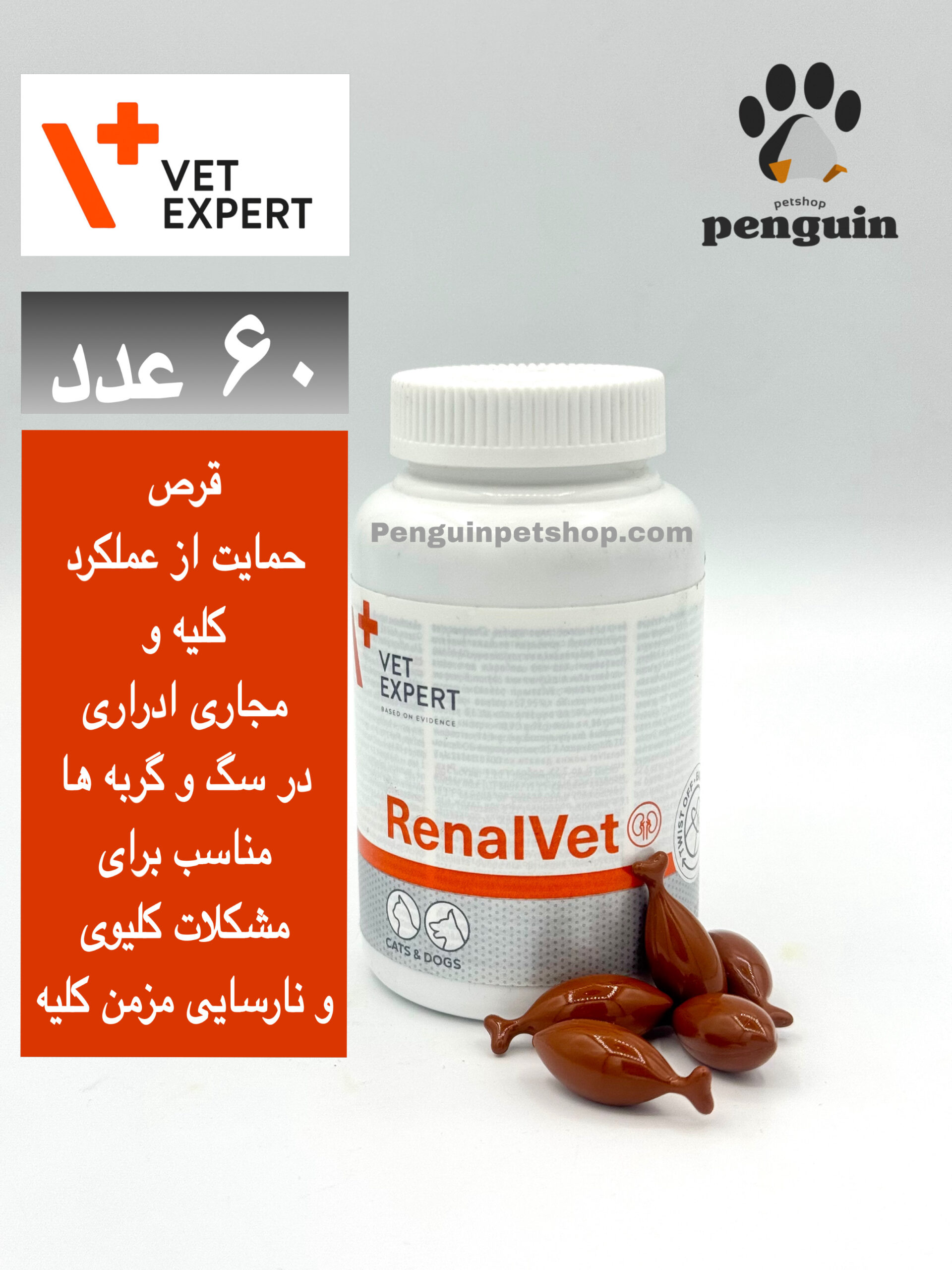 9C5AFC78-6A15-45F1-A058-74809F4F68D1