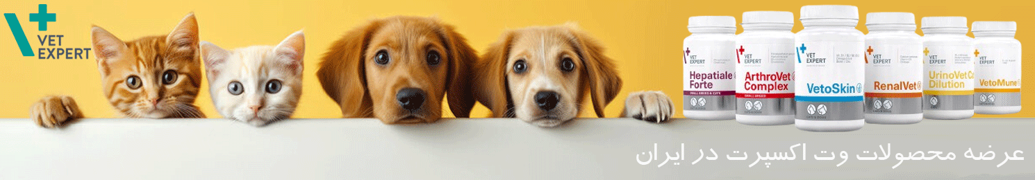 بنر سایت پت شاپ پنگوئن